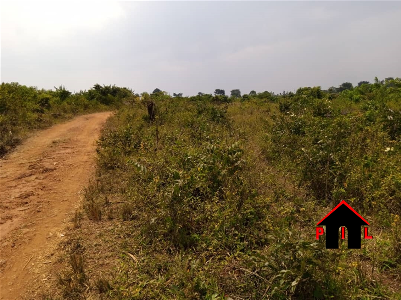 Agricultural Land for sale in Kiwanula Luweero