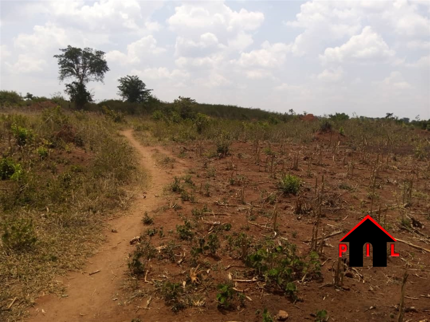 Agricultural Land for sale in Lukumbi Nakaseke