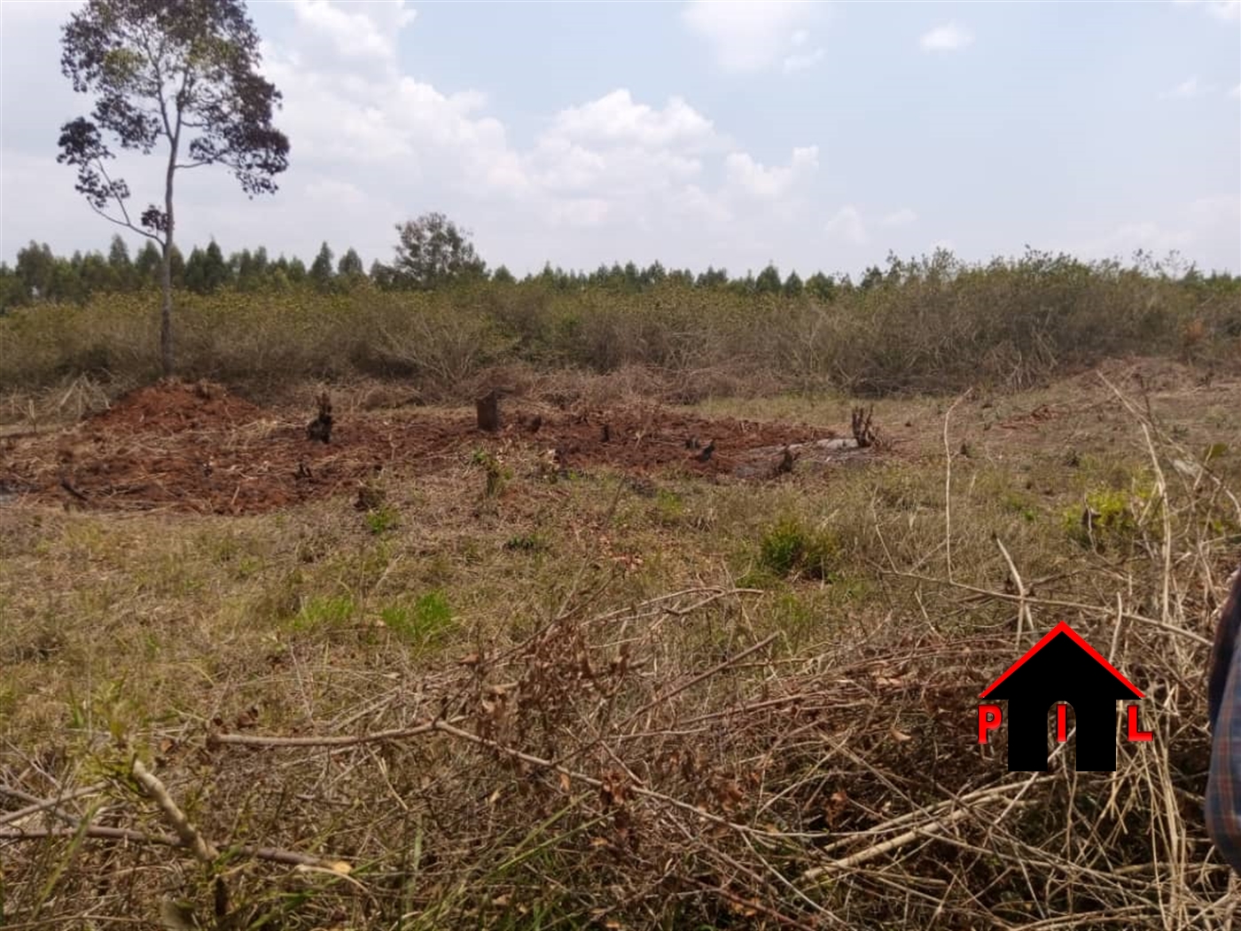 Agricultural Land for sale in Lukumbi Nakaseke