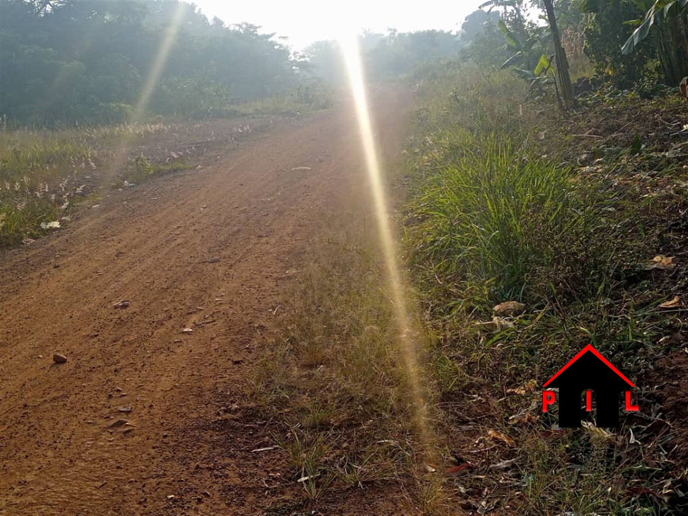 Agricultural Land for sale in Ngomanene Gomba