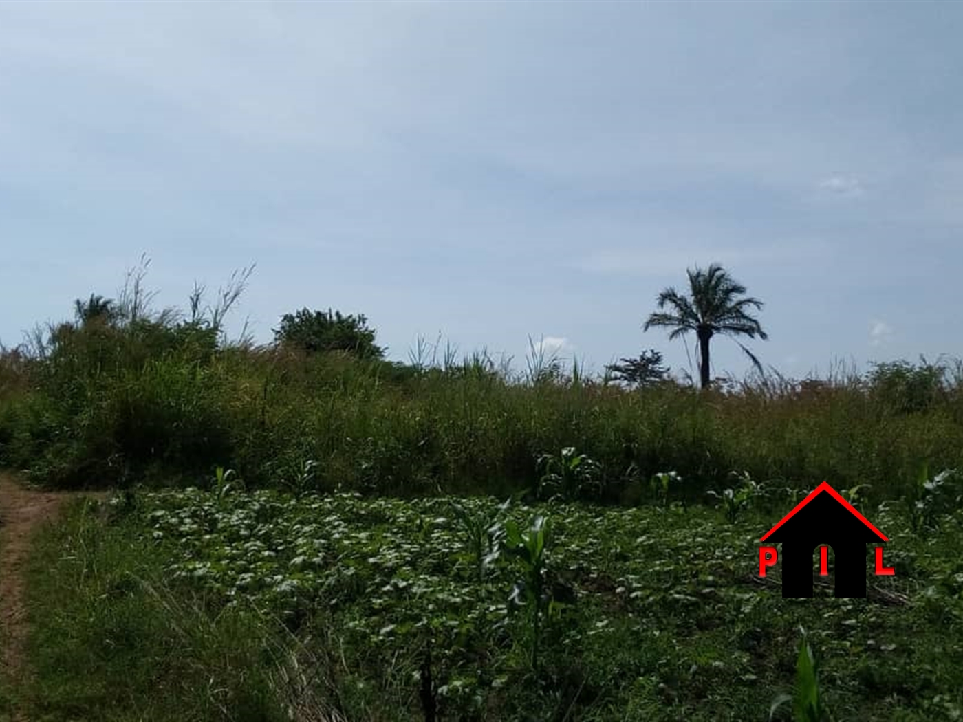 Residential Land for sale in Kibuli Kampala