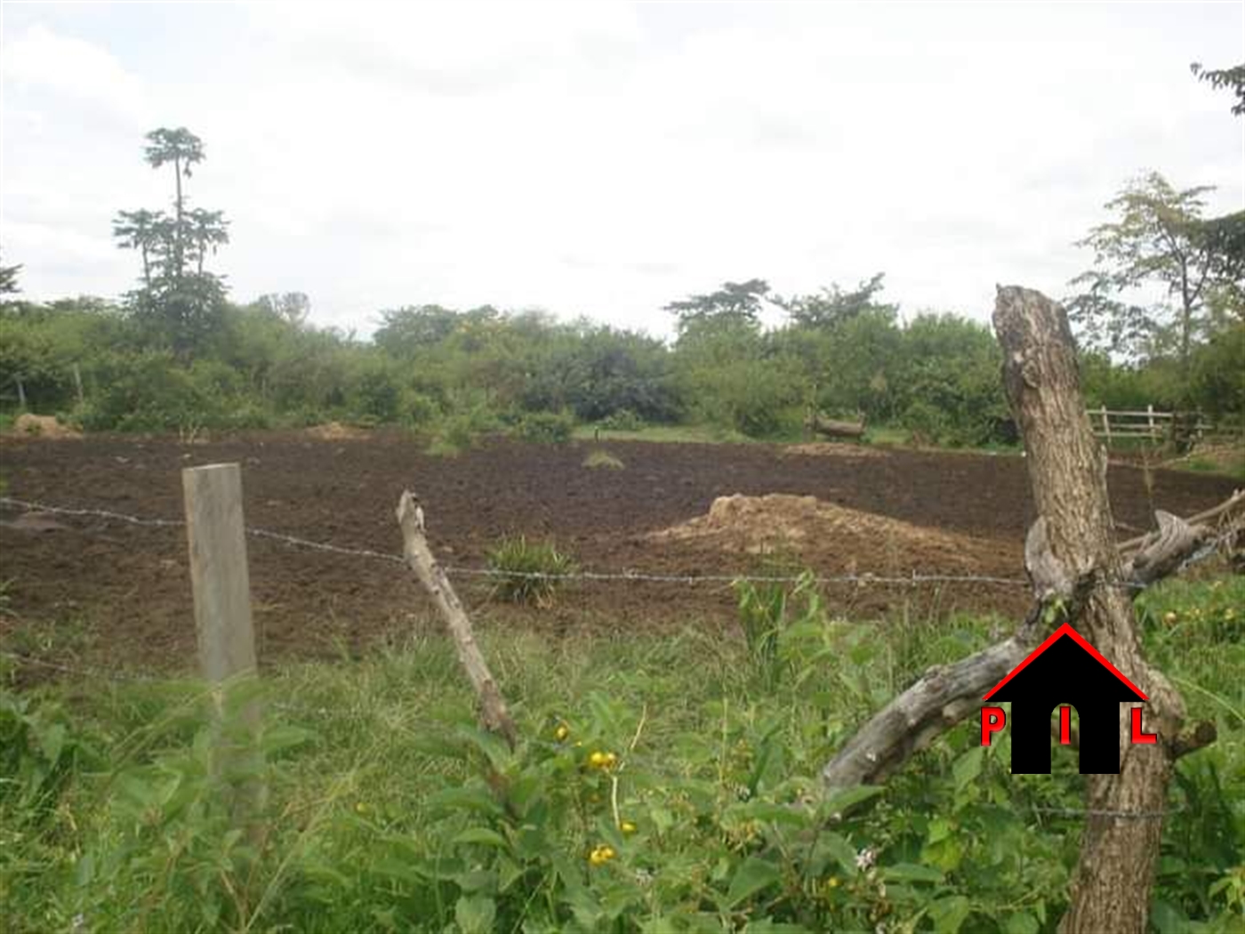 Agricultural Land for sale in Kitabazi Kayunga
