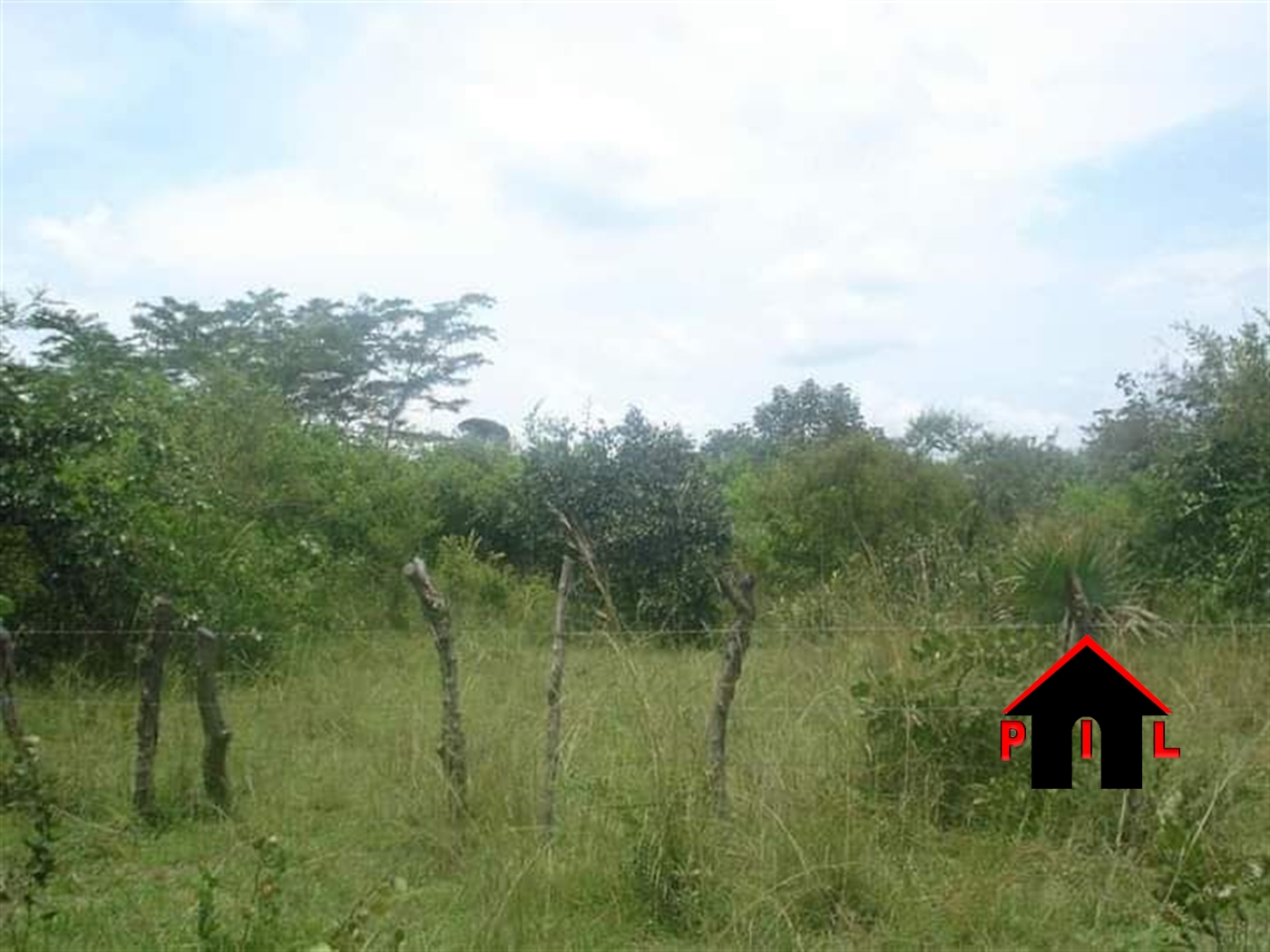 Agricultural Land for sale in Kitabazi Kayunga