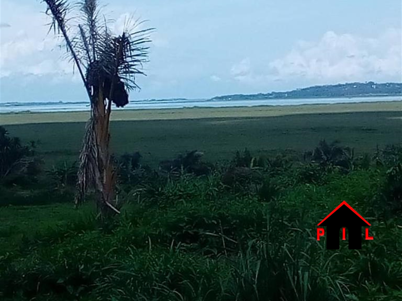 Agricultural Land for sale in Buyala Mubende