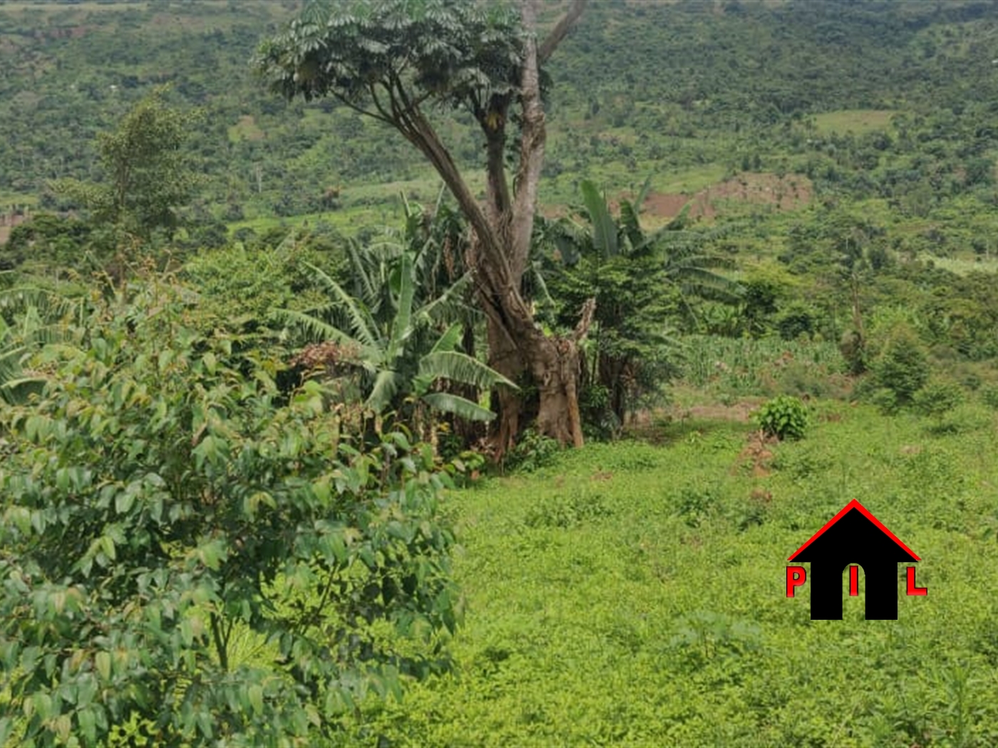 Agricultural Land for sale in Kakonge Nakasongola