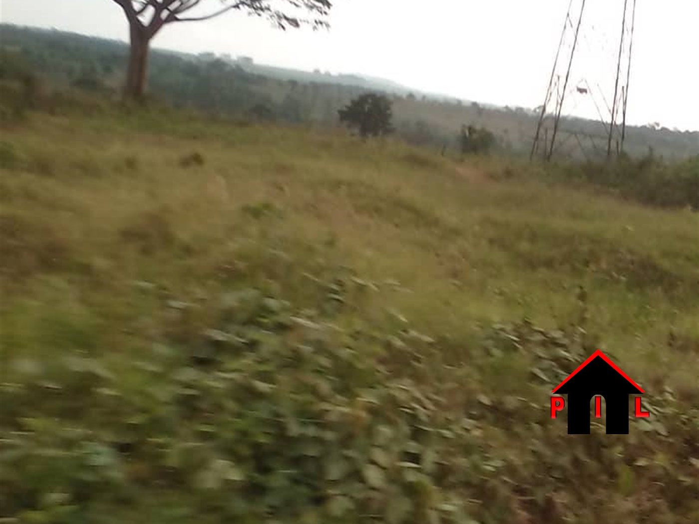 Agricultural Land for sale in Mazzi Luwero