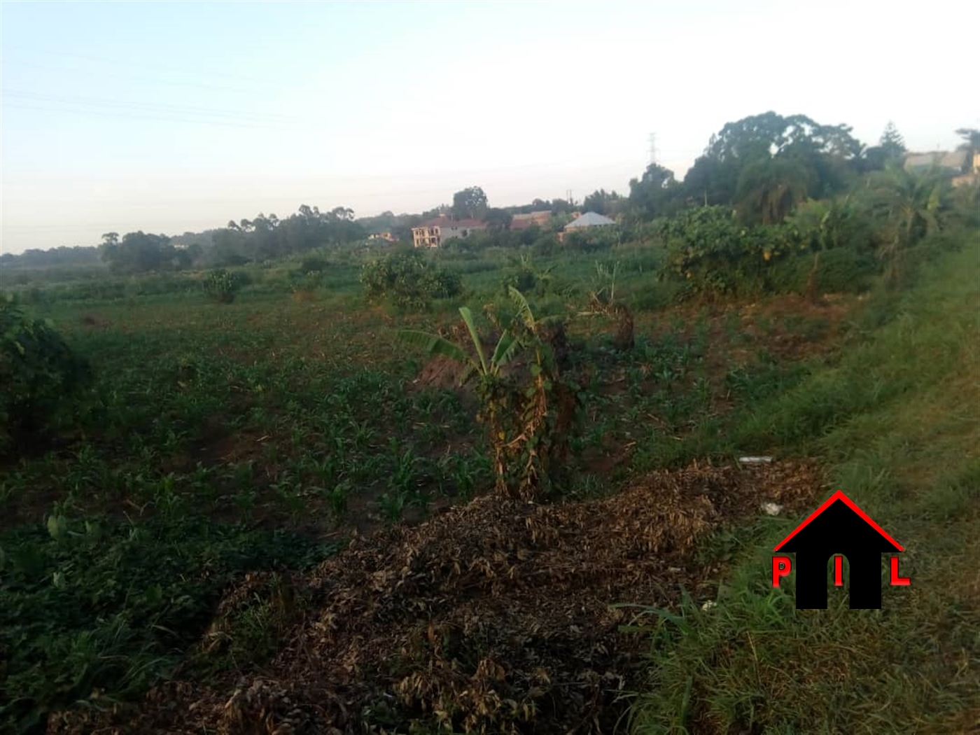 Agricultural Land for sale in Katikamu Luweero