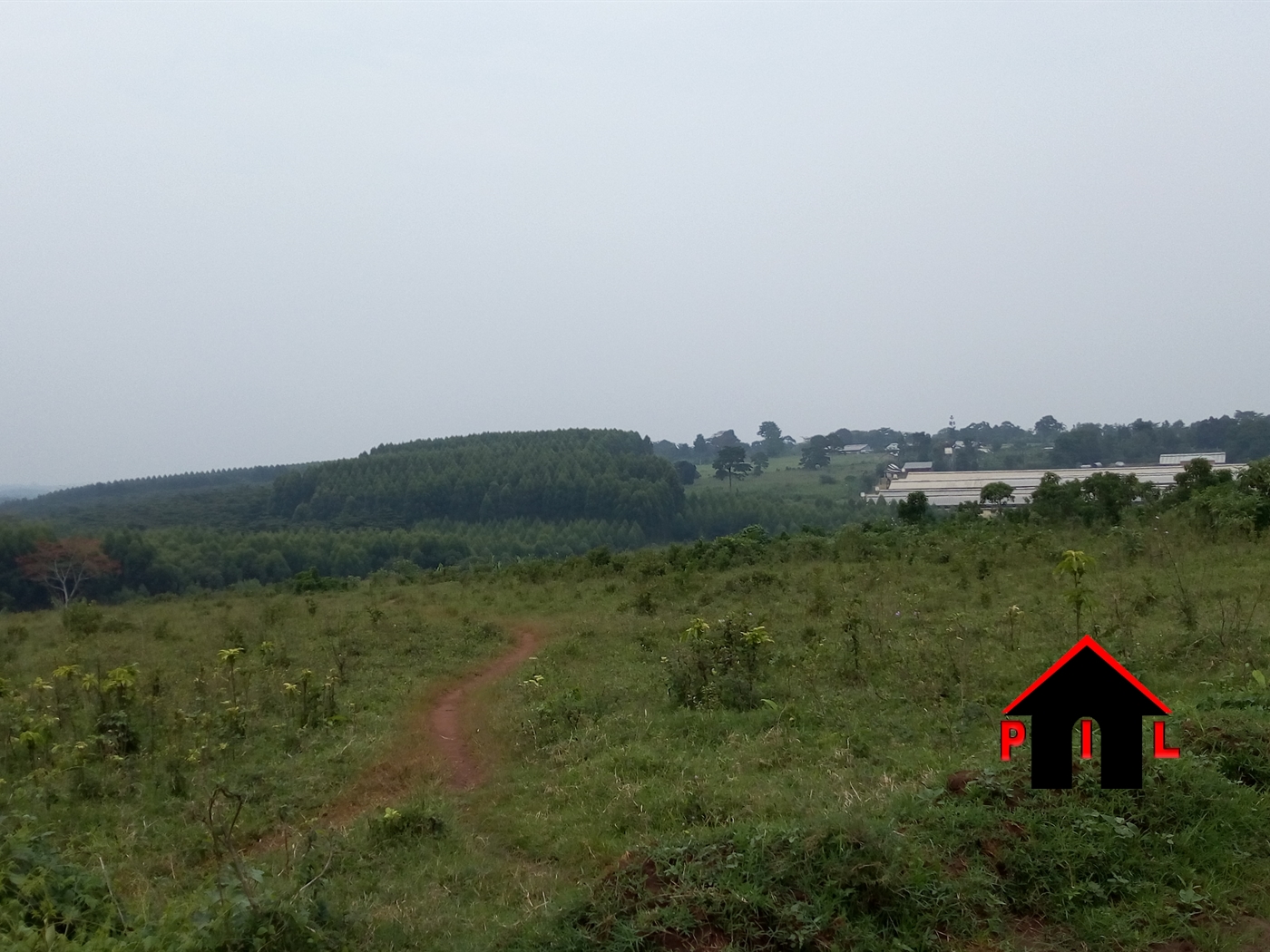 Agricultural Land for sale in Katikamu Luweero