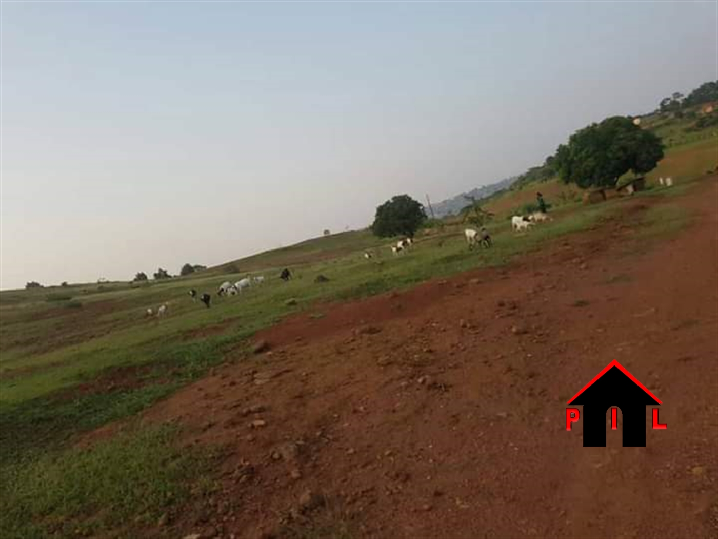 Agricultural Land for sale in Mazzi Luweero