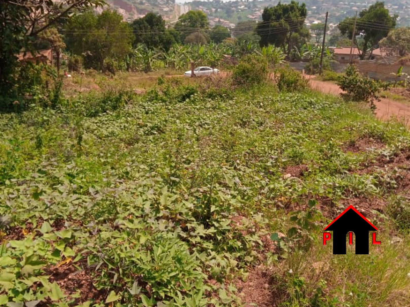 Agricultural Land for sale in Mazzi Luweero