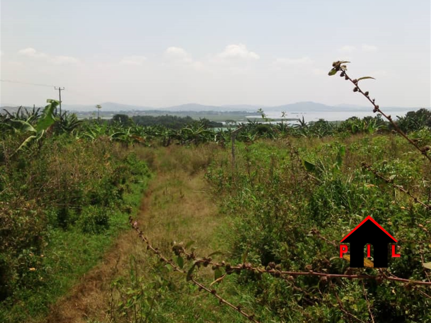 Agricultural Land for sale in Kyankwanzi Hoima