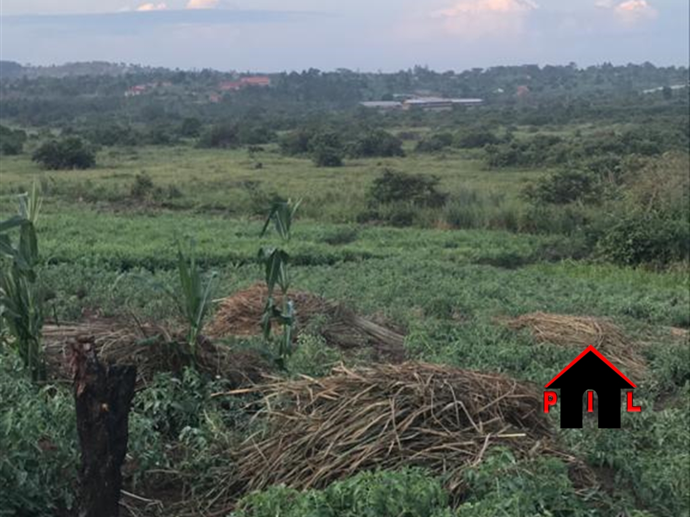 Agricultural Land for sale in Kiiso Luweero