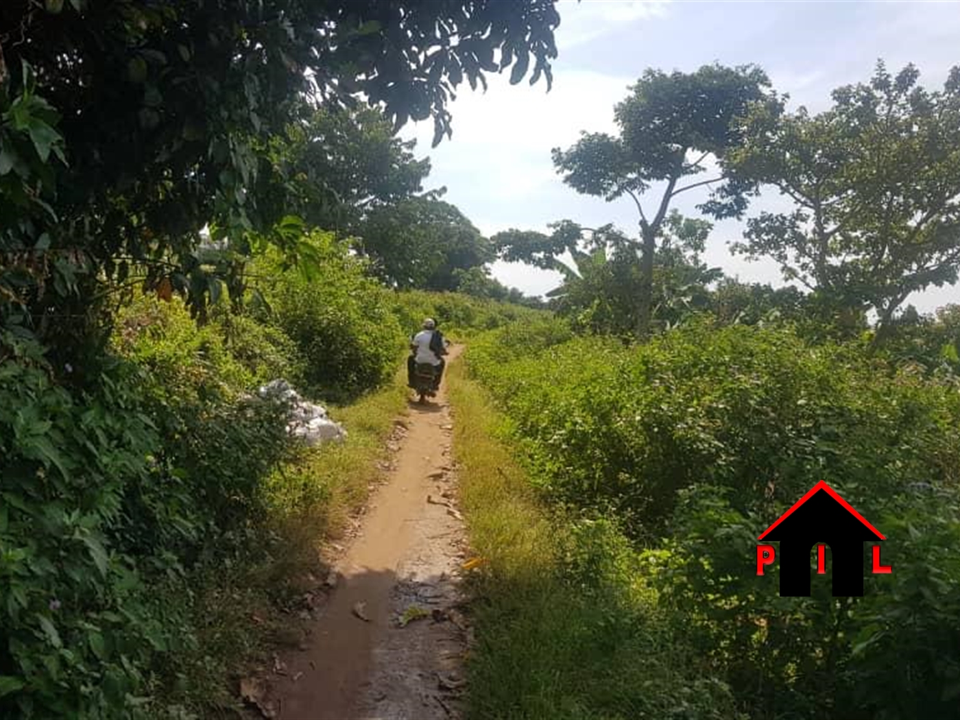 Agricultural Land for sale in Katikamu Luweero