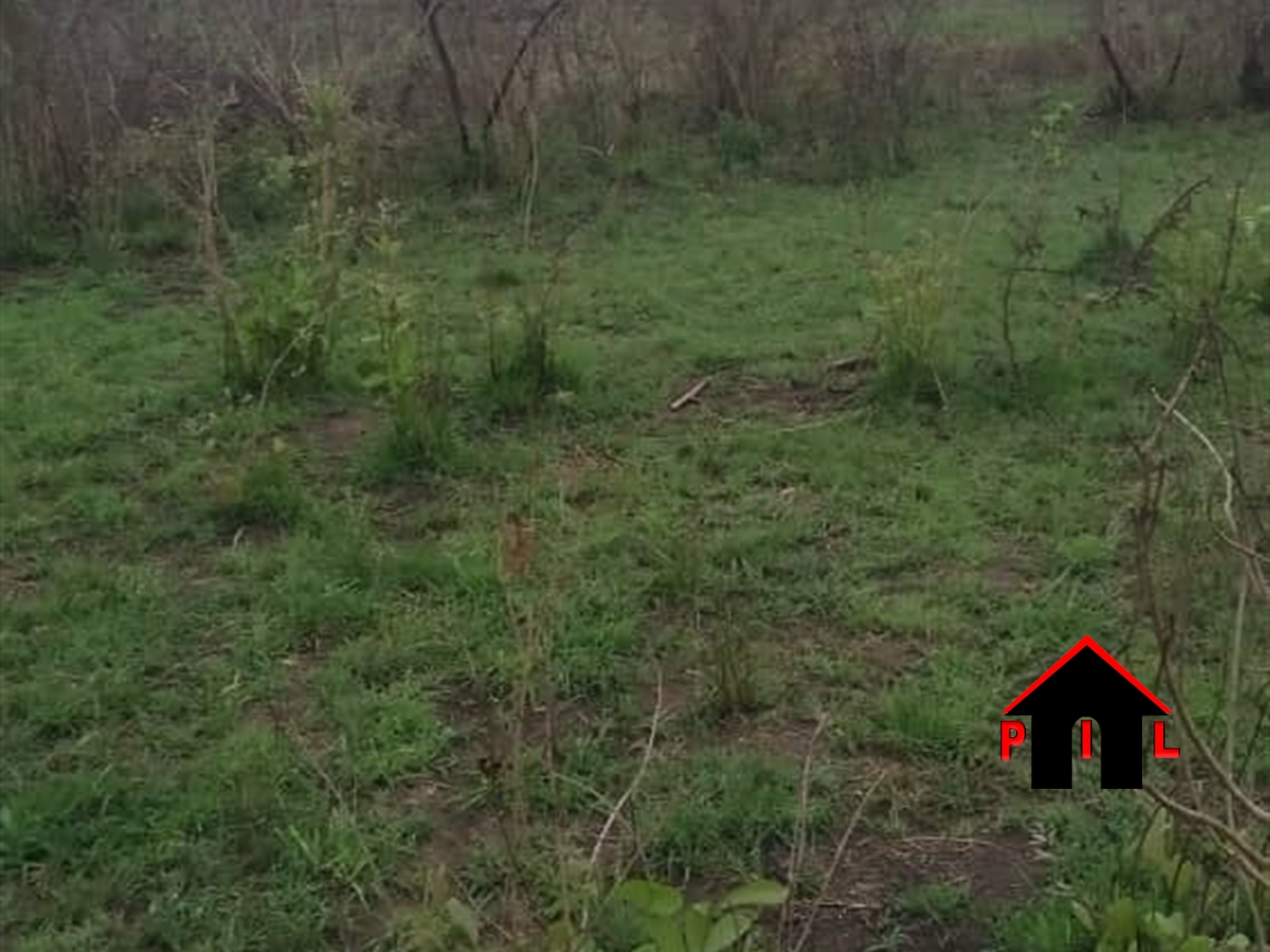 Agricultural Land for sale in Ngagi Luweero