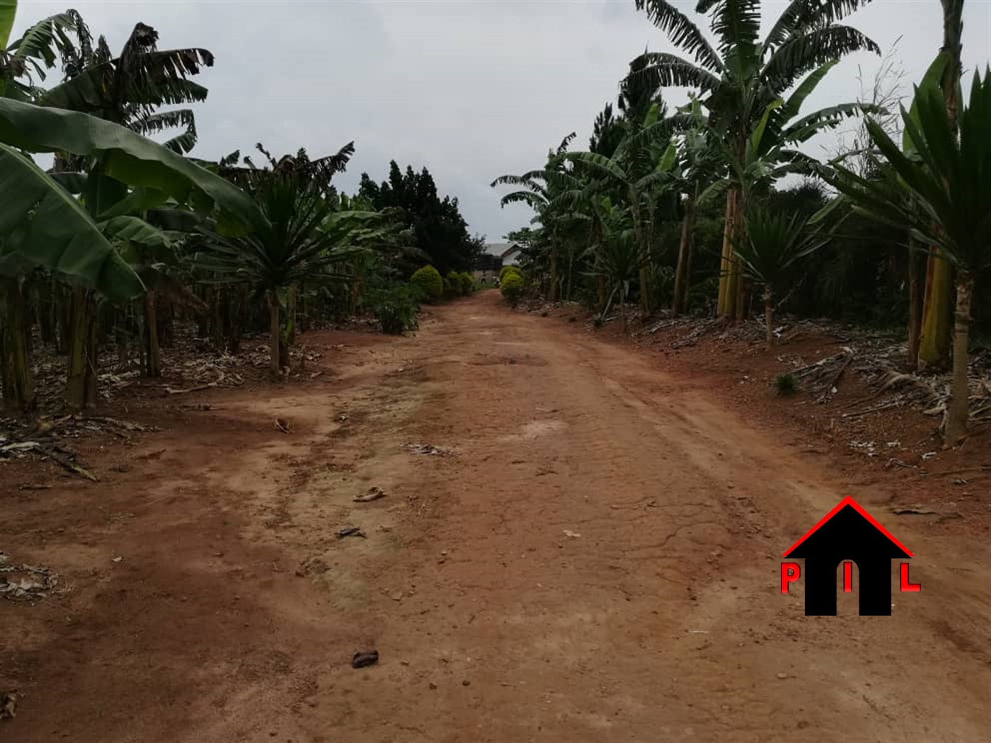 Agricultural Land for sale in Wabikokoma Luweero