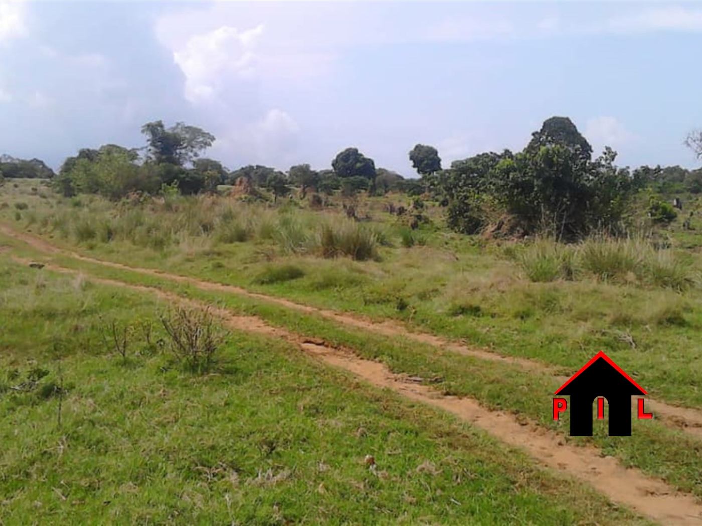 Agricultural Land for sale in Wakyato Nakaseke