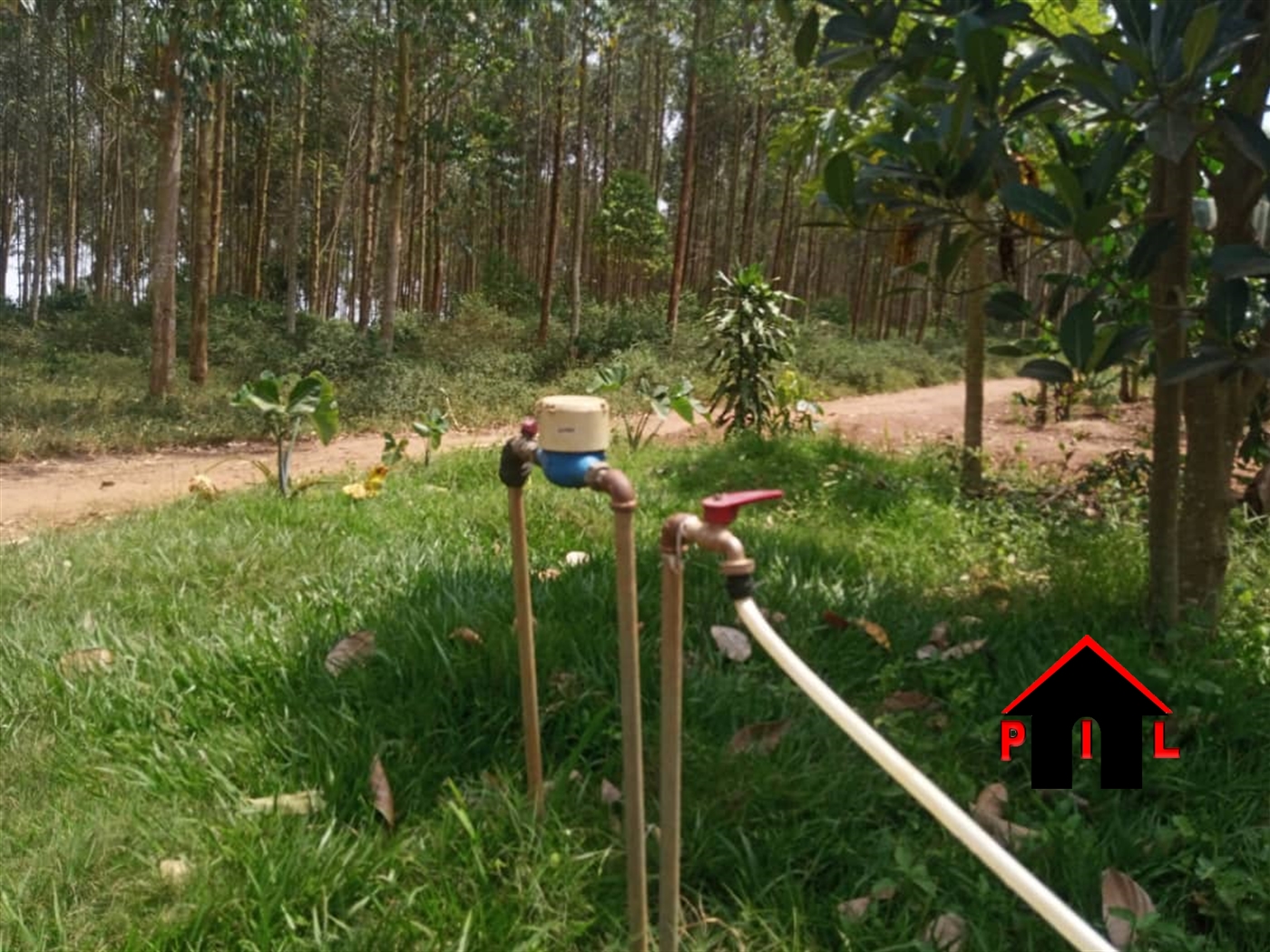 Agricultural Land for sale in Seroma Mukono