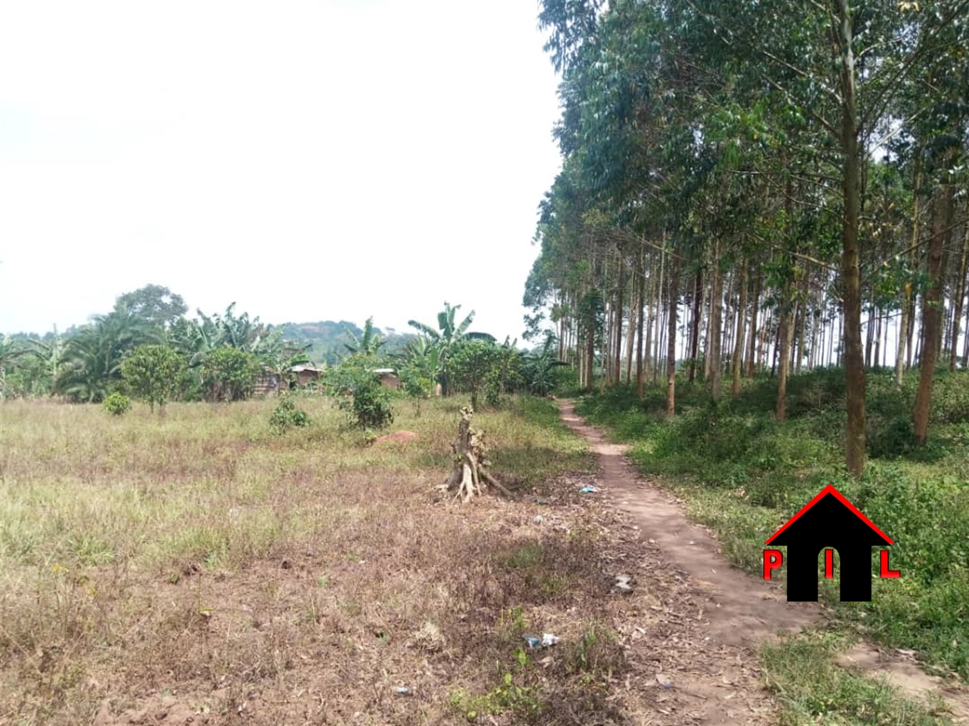Agricultural Land for sale in Seroma Mukono