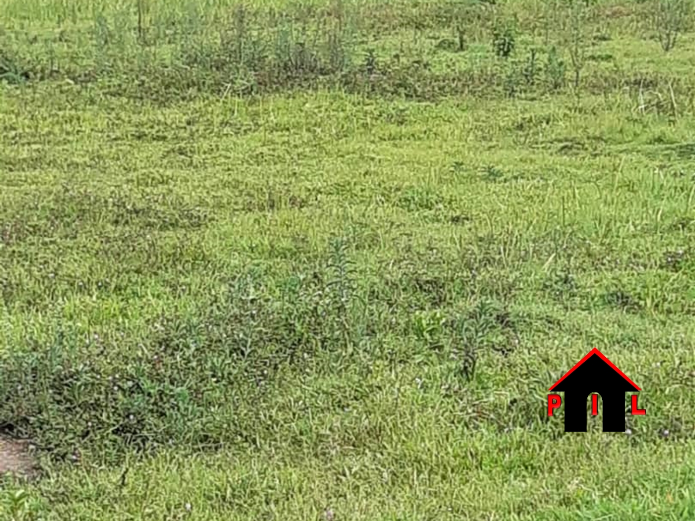 Agricultural Land for sale in Ihungu Masindi