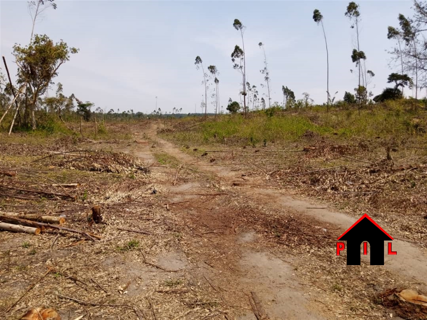 Agricultural Land for sale in Kassanda Wakiso