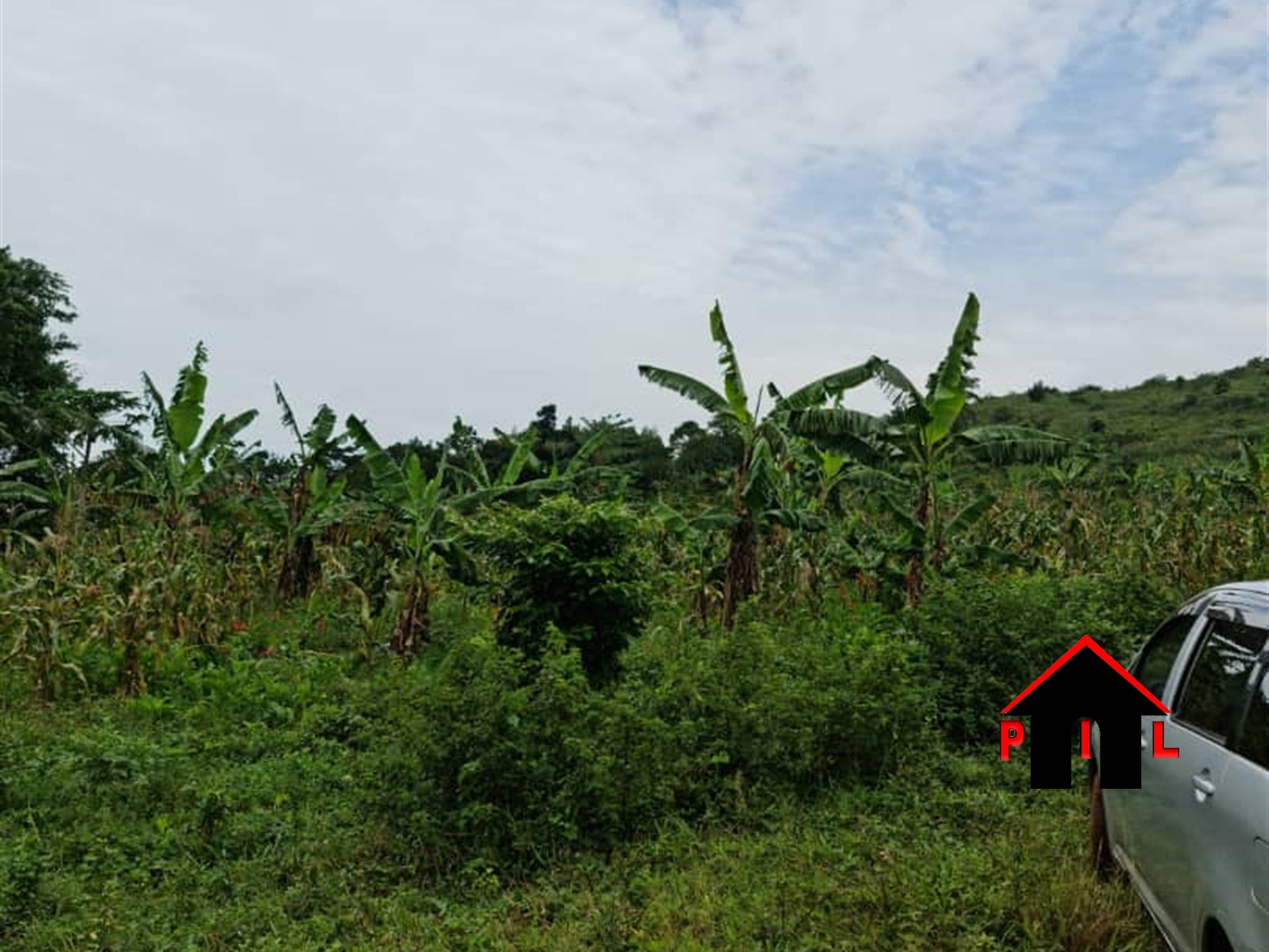 Agricultural Land for sale in Namataba Mukono