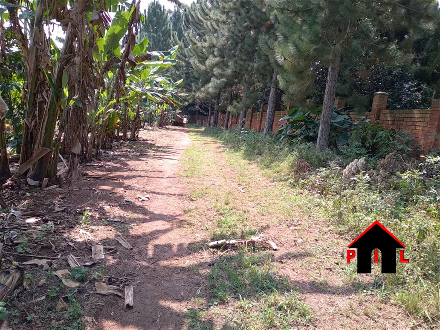 Agricultural Land for sale in Nnalongo Luweero