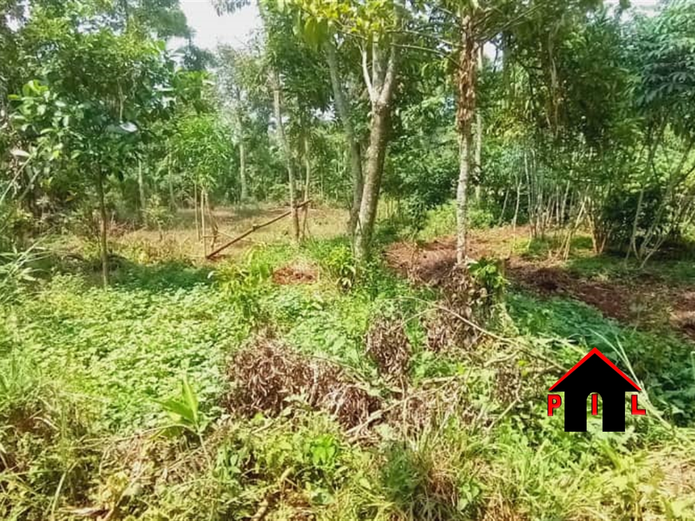 Agricultural Land for sale in Lukiizi Luweero