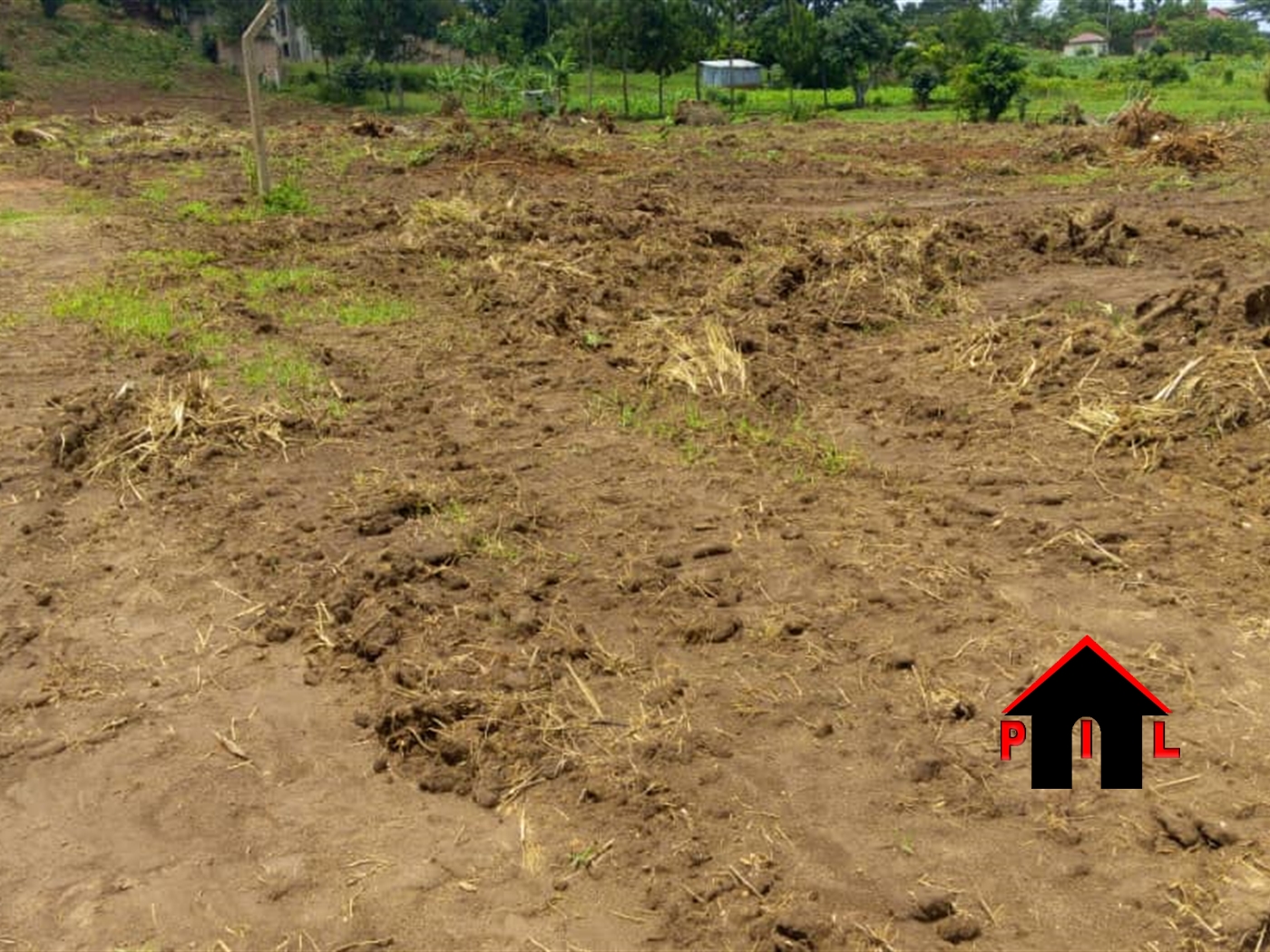 Agricultural Land for sale in Kiiso Luweero