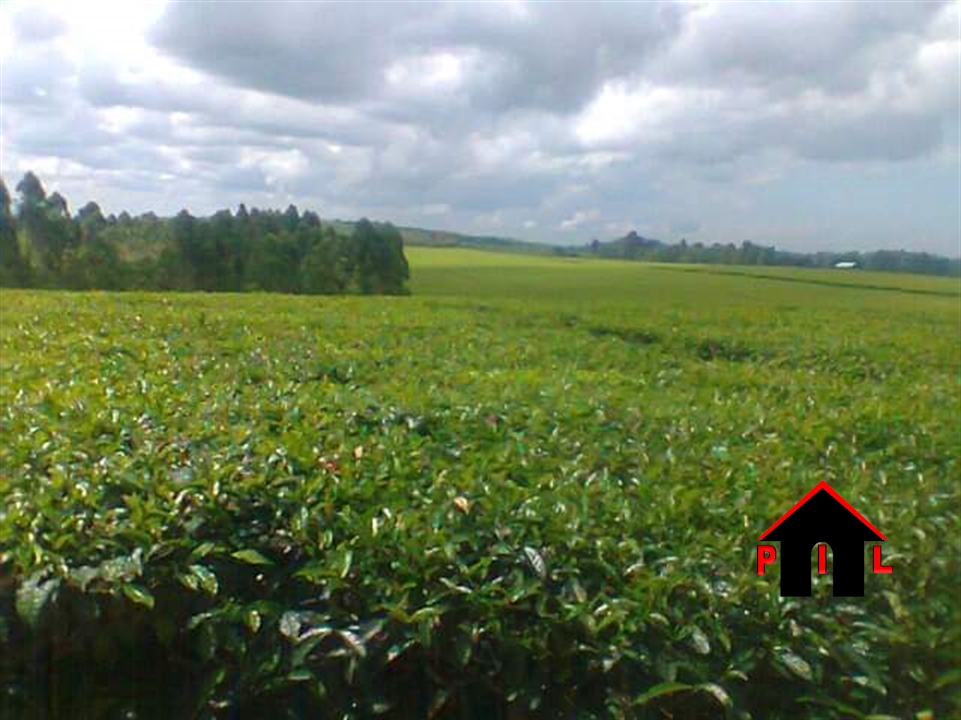 Agricultural Land for sale in Kyanamukaaka Masaka