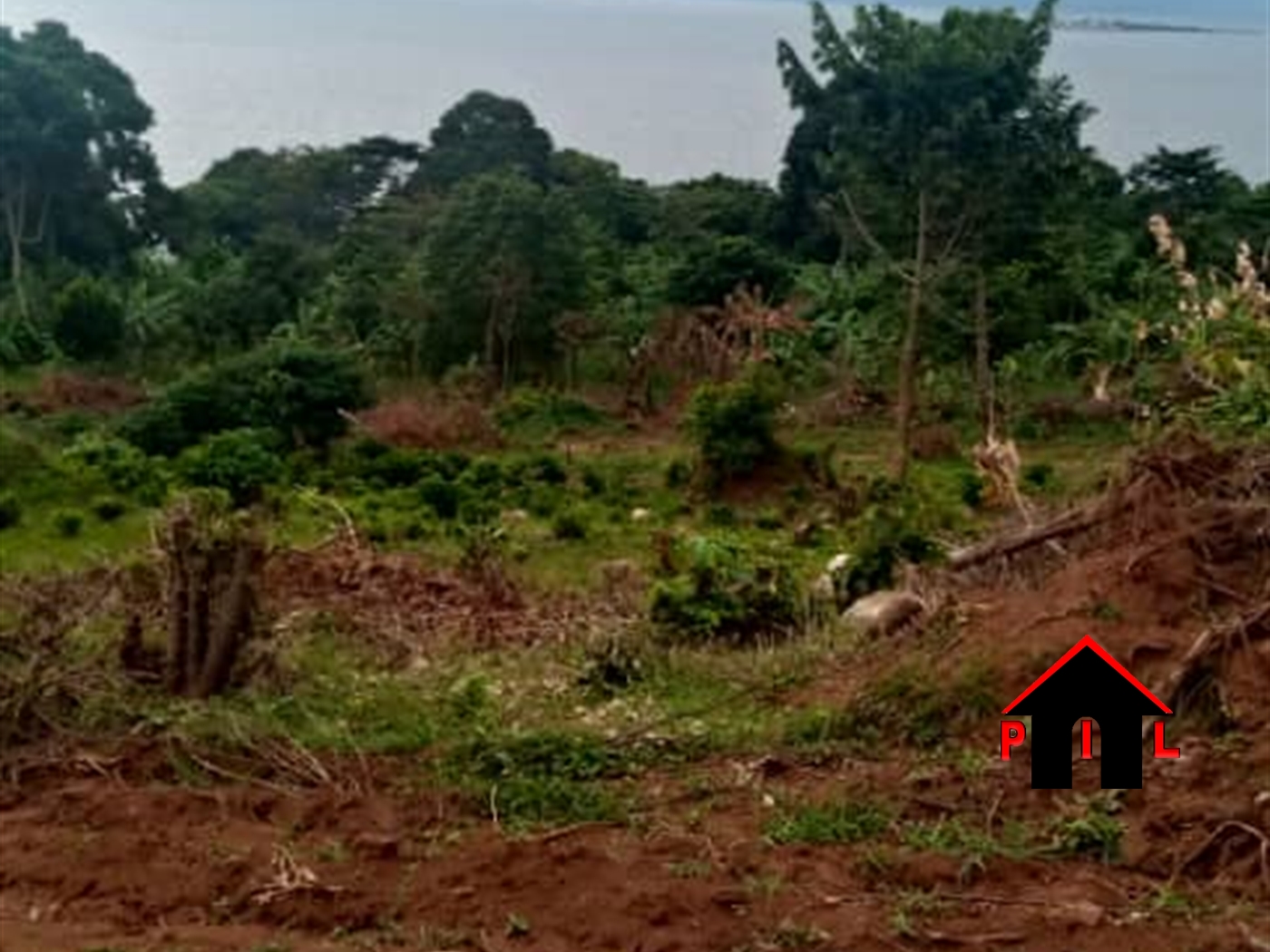 Agricultural Land for sale in Nalyazi Kalangala