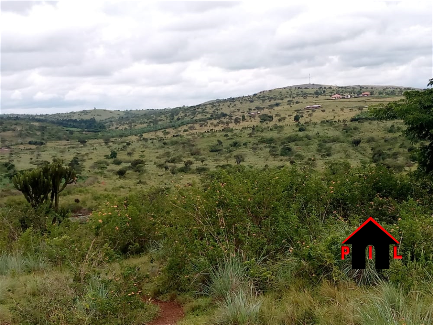 Agricultural Land for sale in Lwamata Kiboga