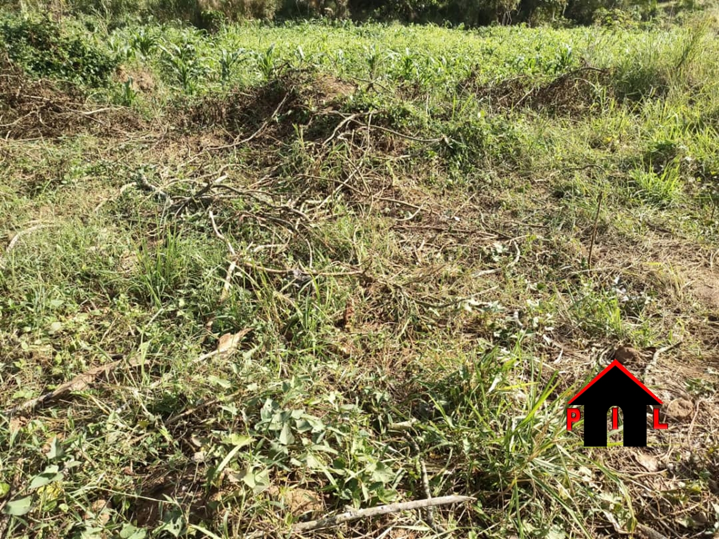 Residential Land for sale in Matugga Wakiso