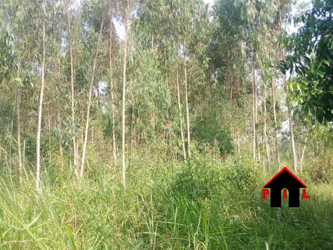Residential Land for sale in Bulwadda Wakiso