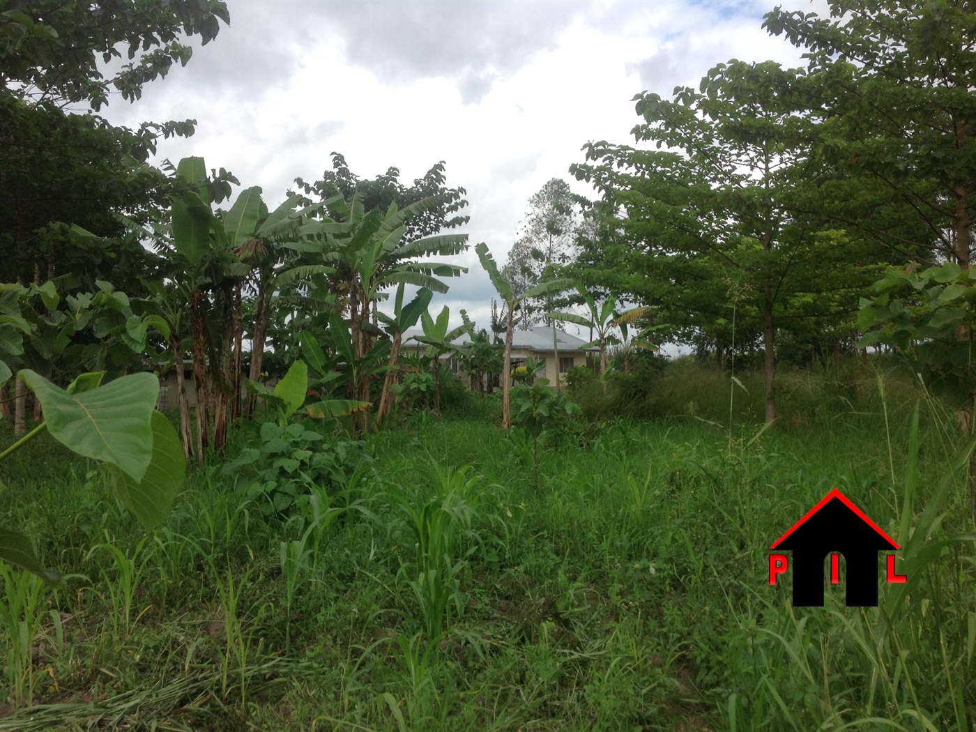 Agricultural Land for sale in Kikyuusa Kayunga