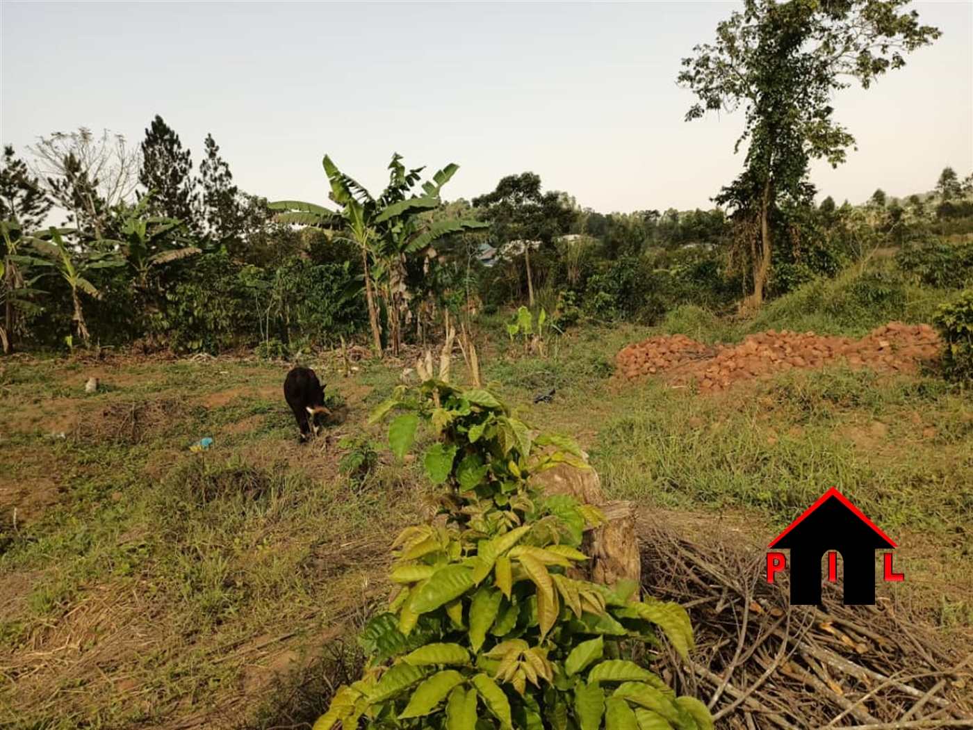 Residential Land for sale in Kiwenda Wakiso