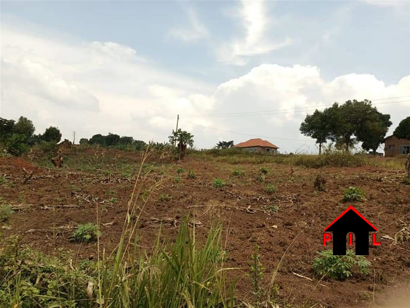 Agricultural Land for sale in Nabululu Luwero