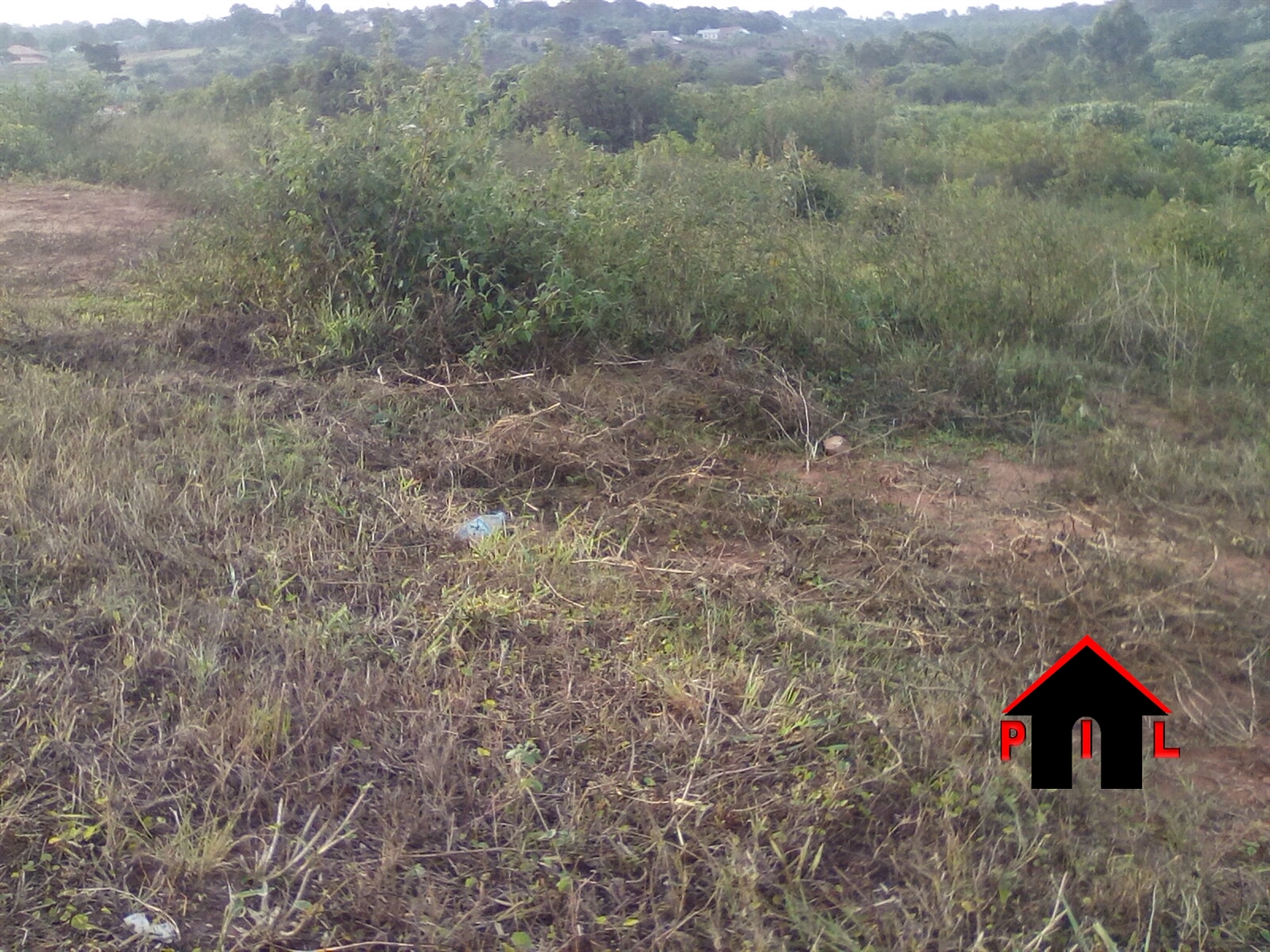 Agricultural Land for sale in Ziloobwe Luweero