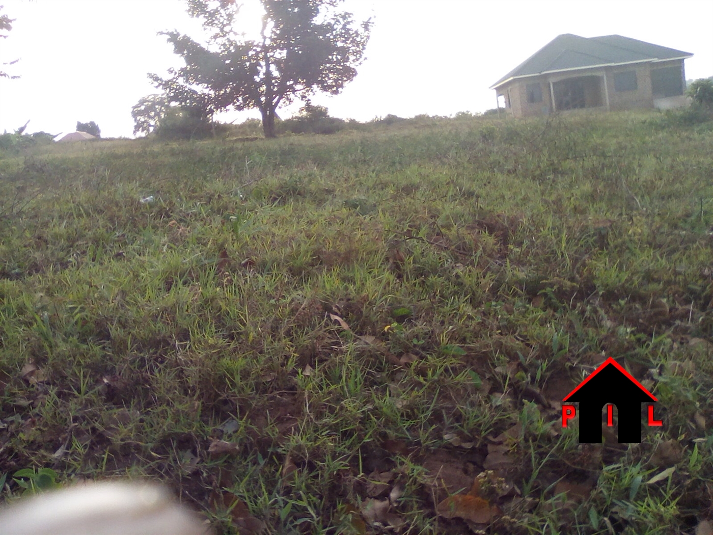 Agricultural Land for sale in Matugga Wakiso