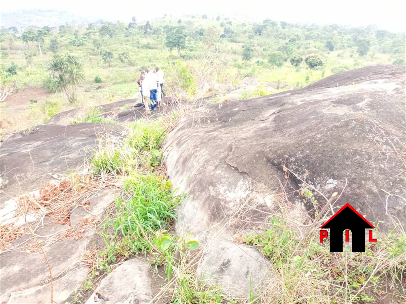 Agricultural Land for sale in Ssemuto Wakiso