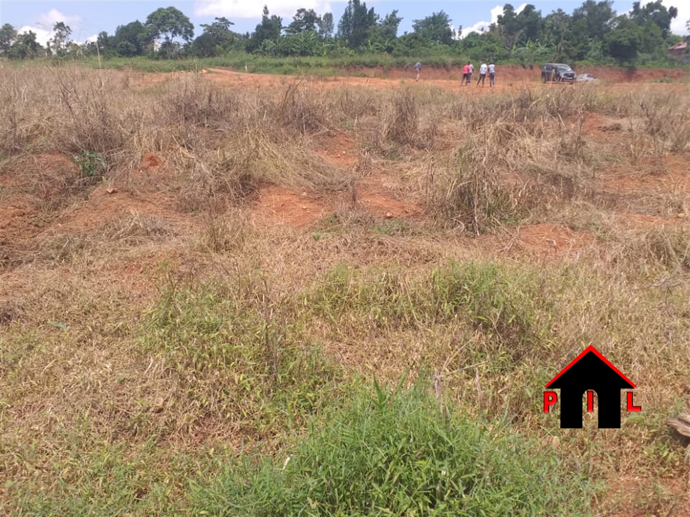Agricultural Land for sale in Myanzi Mityana