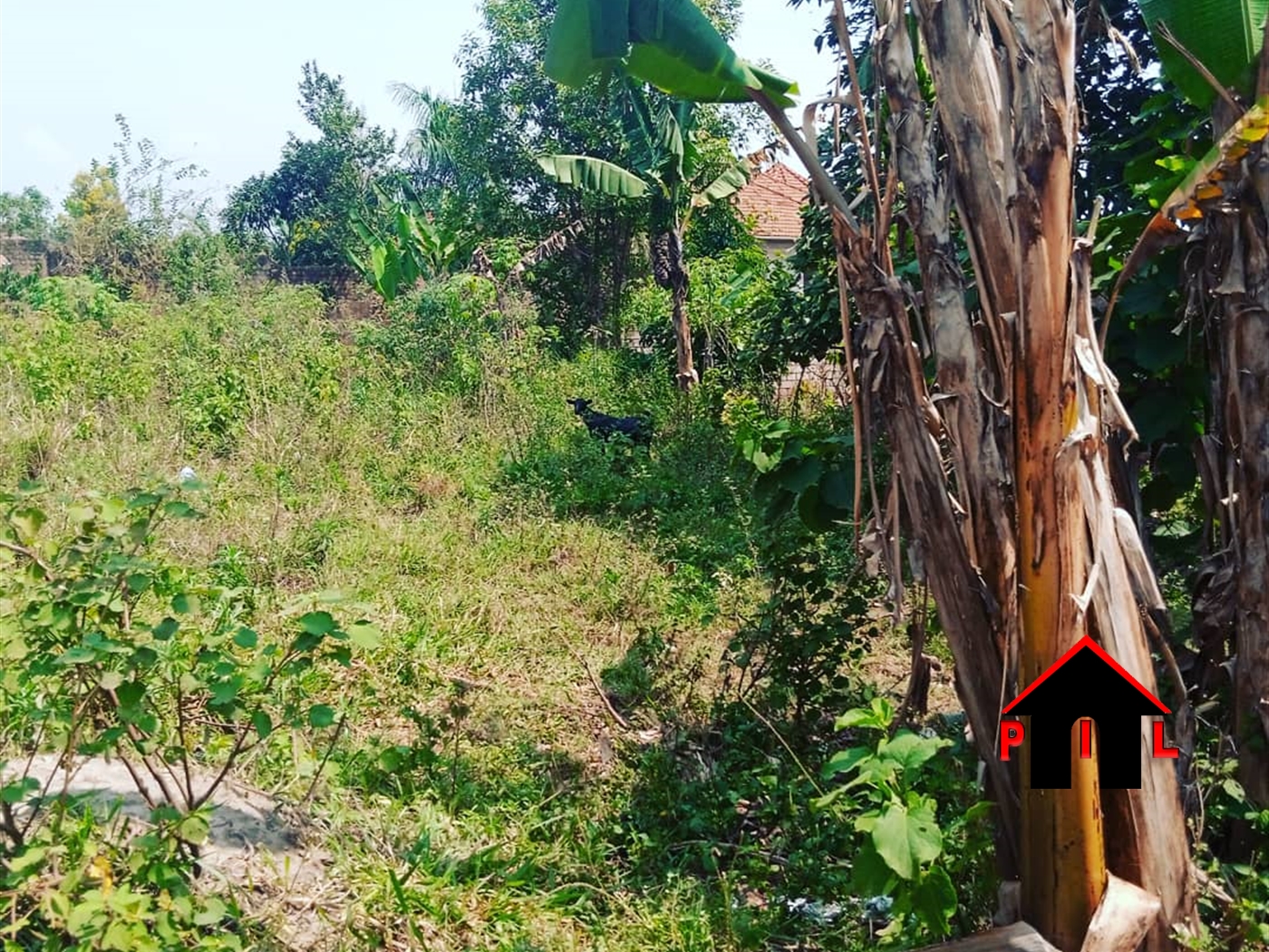 Residential Land for sale in Komamboga Kampala