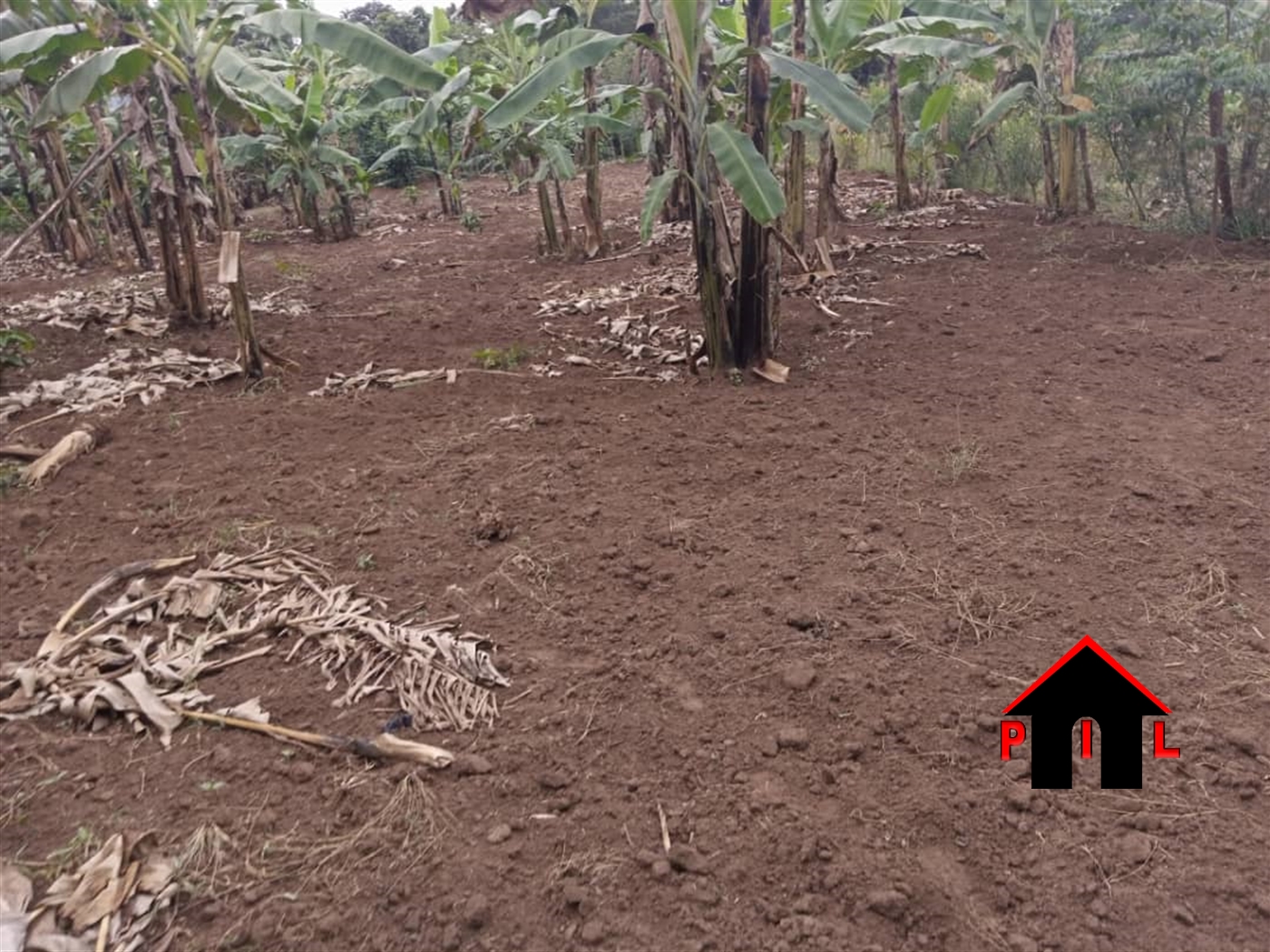 Agricultural Land for sale in Kalule Luweero