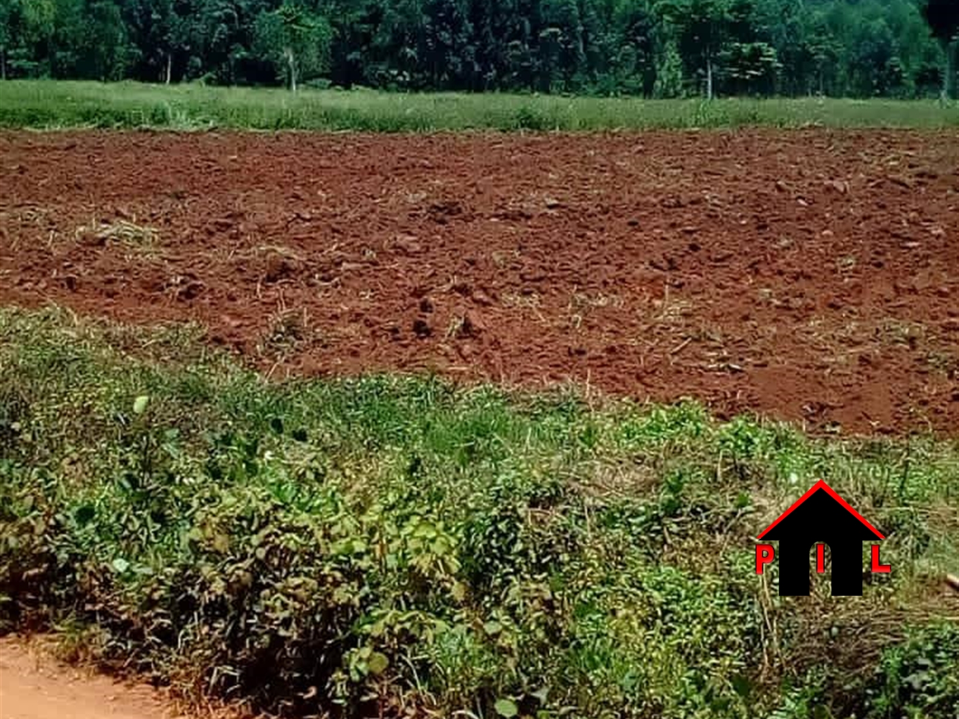 Agricultural Land for sale in Bugema Mbaale