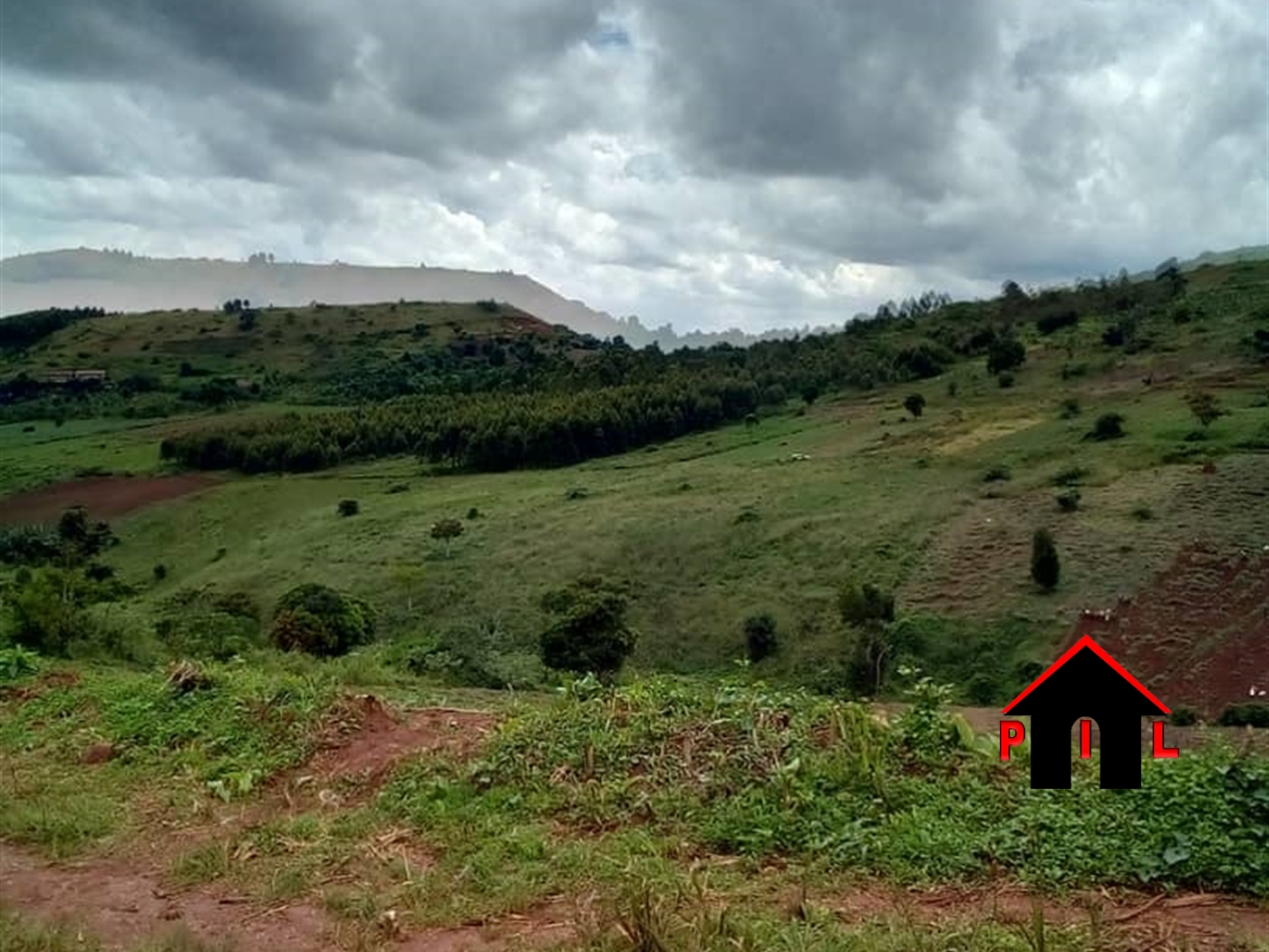 Agricultural Land for sale in Buwaya Nakaseke