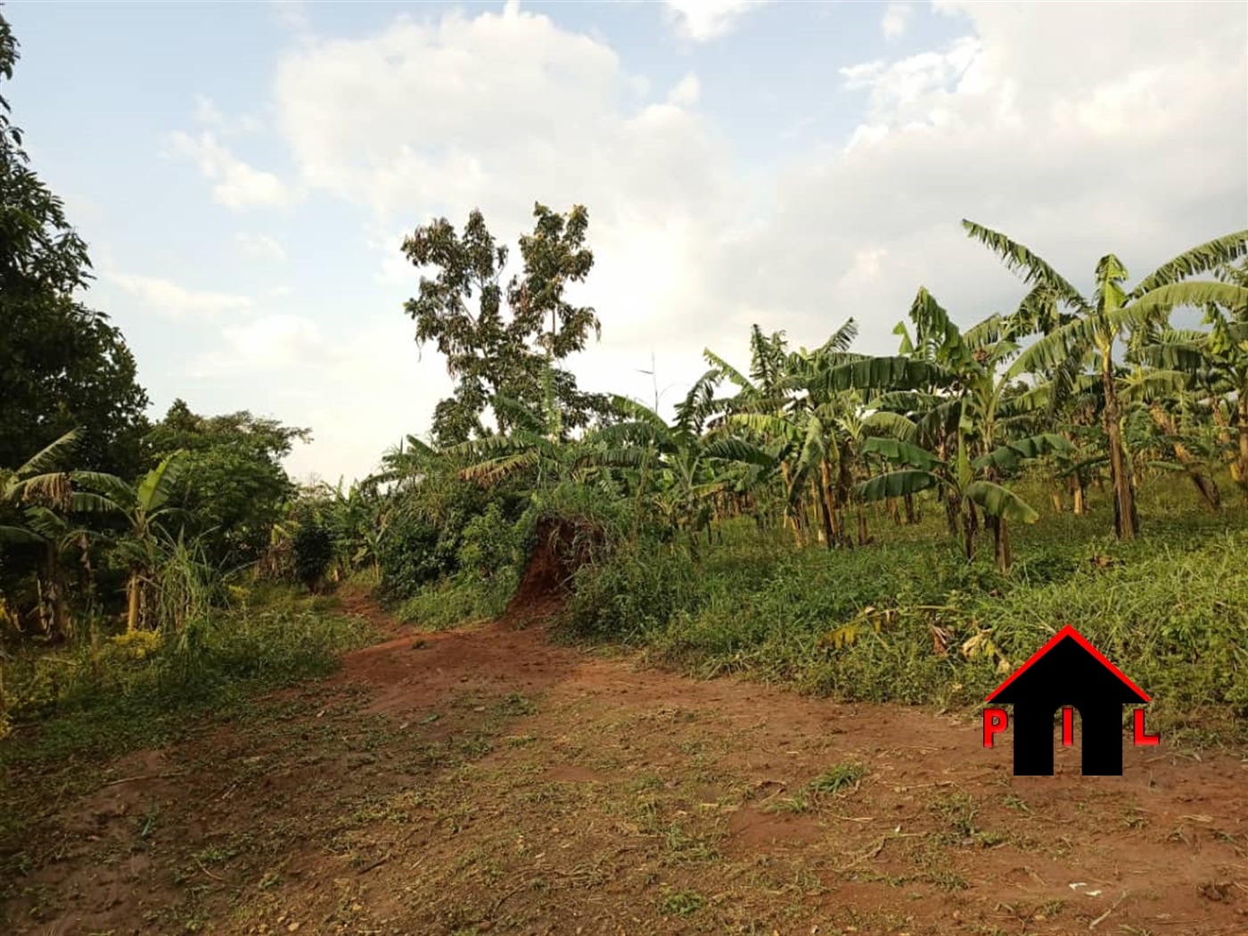 Agricultural Land for sale in Ssemuto Wakiso