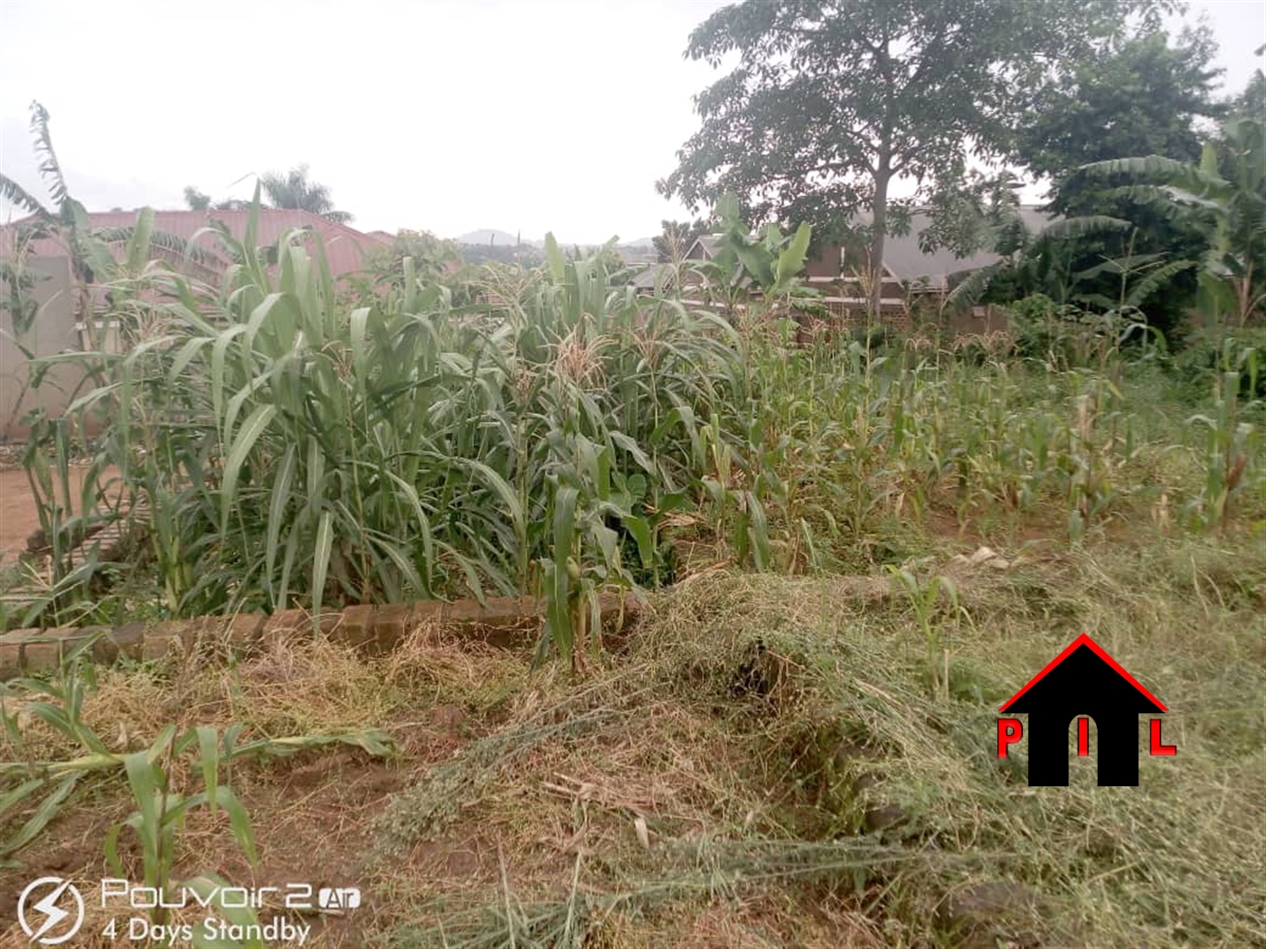 Agricultural Land for sale in Ziloobwe Luweero