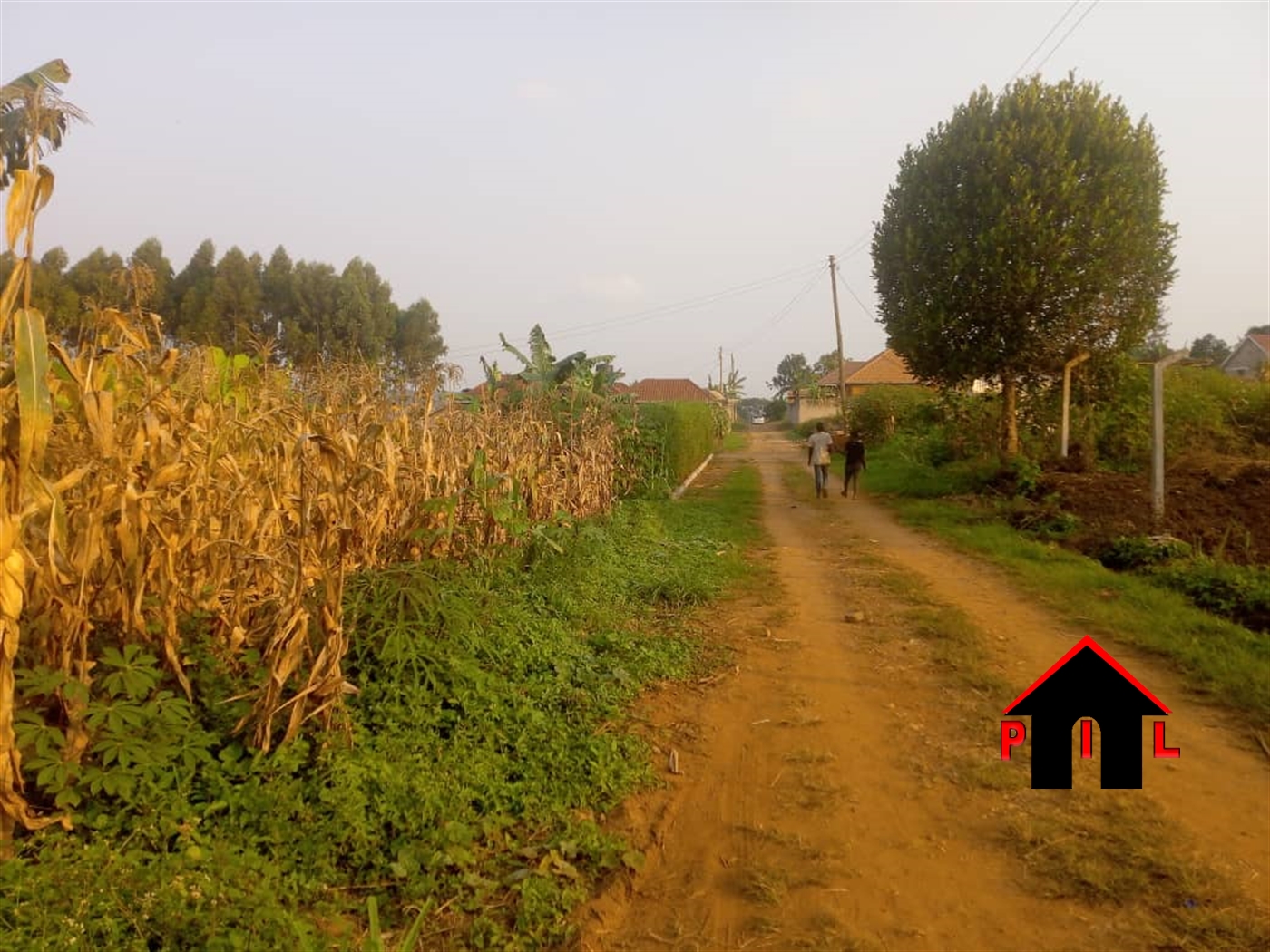 Residential Land for sale in Nakweelo Wakiso