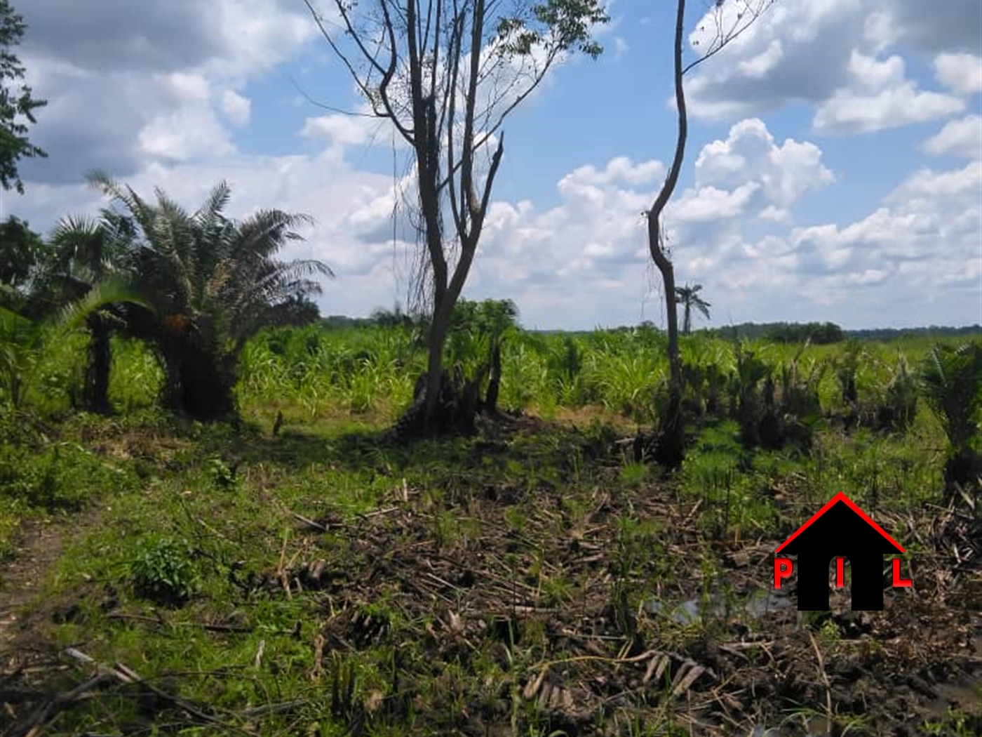 Agricultural Land for sale in Kayanda Luweero