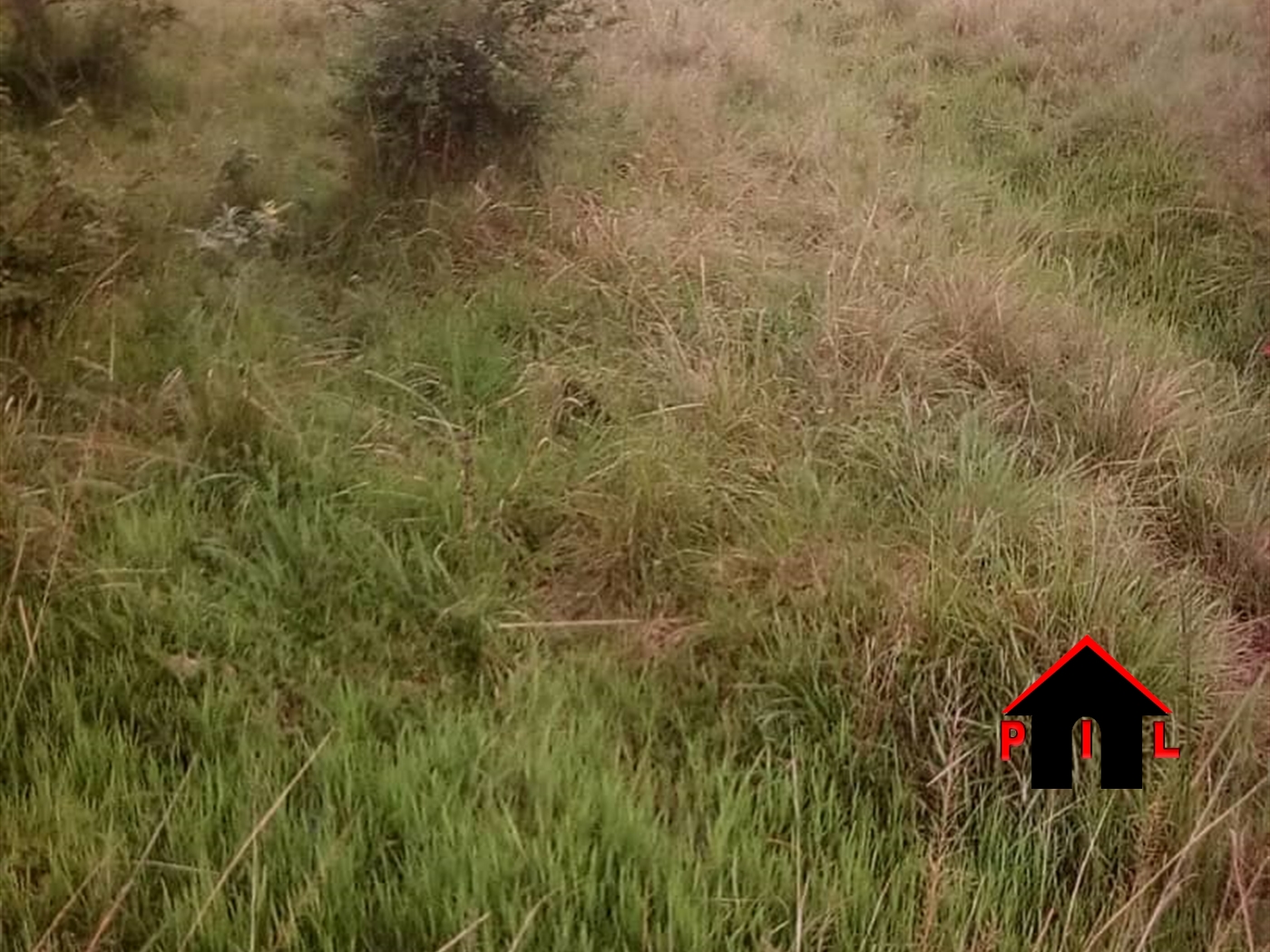Agricultural Land for sale in Kyengela Wakiso