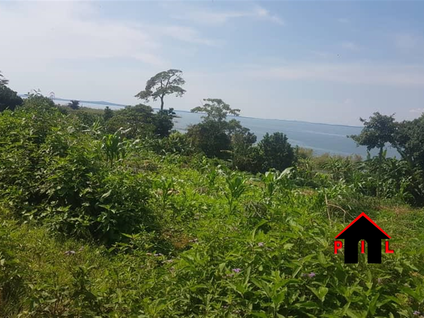 Agricultural Land for sale in Buvuma Wakiso